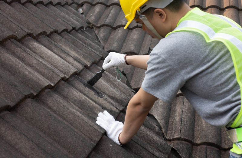 Products For Roof Tile Repairs in use
